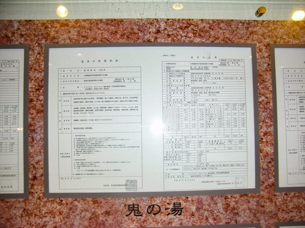 Source composition analysis report for Daiichi-Takimotokan, Noboribetsu Onsen, Hokkaido, Japan